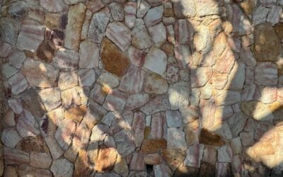 Von Eifersucht und Gnade