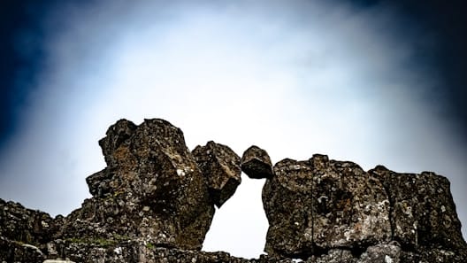 Herold featured