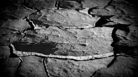 Herold featured